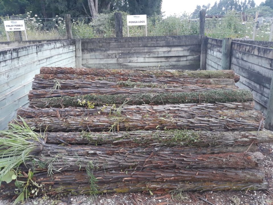 Ponga Logs​