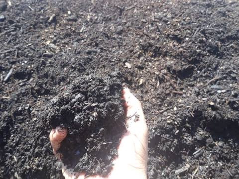 compost_2